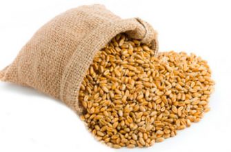 Пшеница и ячмень - дешевые и эффективные наживки