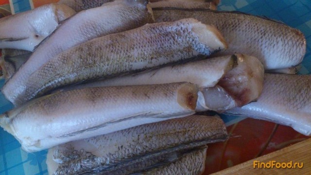 Рецепты приготовления рыбы нототении