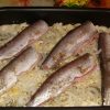 Ряпушка как готовить в домашних условиях блюда из рыбы, фото рыбы