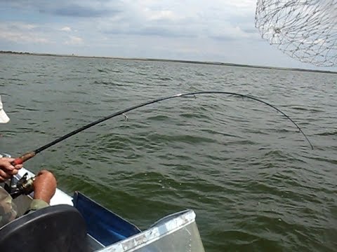 Рыбалка летом. судак - ловля на блесну