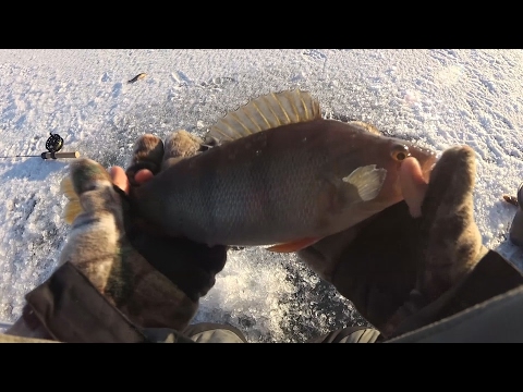 Рыбалка на чудском озере
