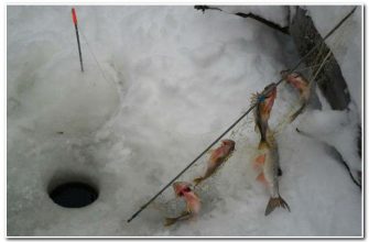 Рыбалка на косынку зимой