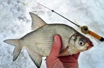 Рыбалка на леща в феврале