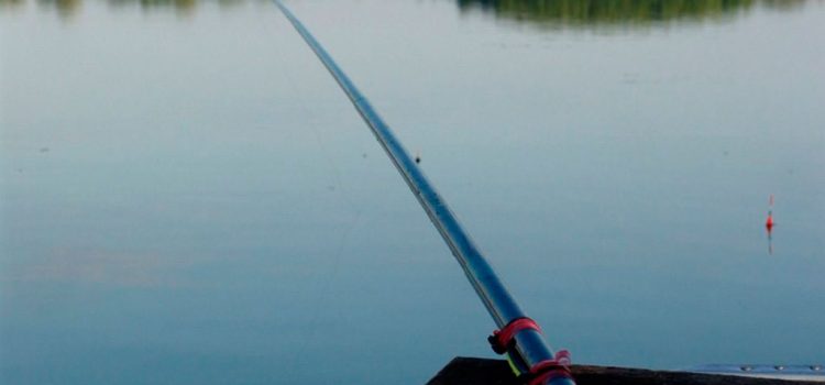 Рыбалка с помощью маховой удочки