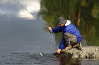 Рыбалка в ленинградской области