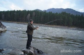 Рыбалка в районе алтая