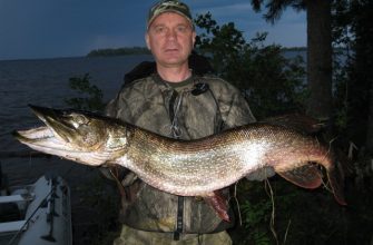 Рыбалка в томской области