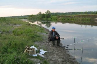 Рыбалка в ульяновской области