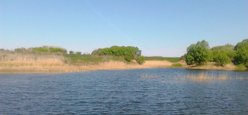 пруд сомовский для бесплатной ловли в Воронежской области
