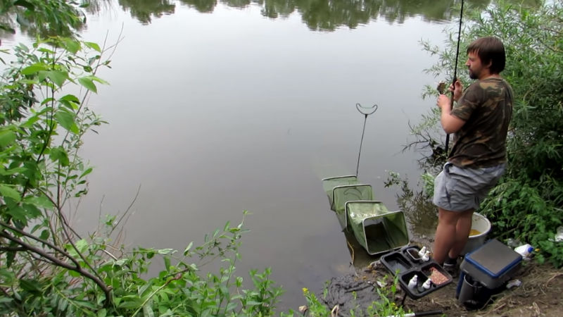бесплатная рыбалка в воронежской области на реке Дон в поселке Шилово