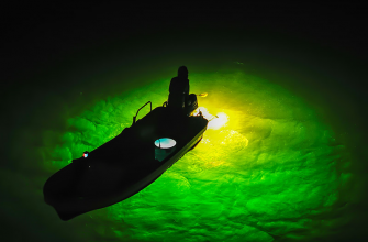 Имеет ли значение цвет света фонарей для рыбалки?