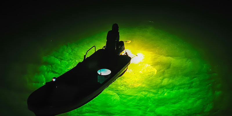 Имеет ли значение цвет света фонарей для рыбалки?