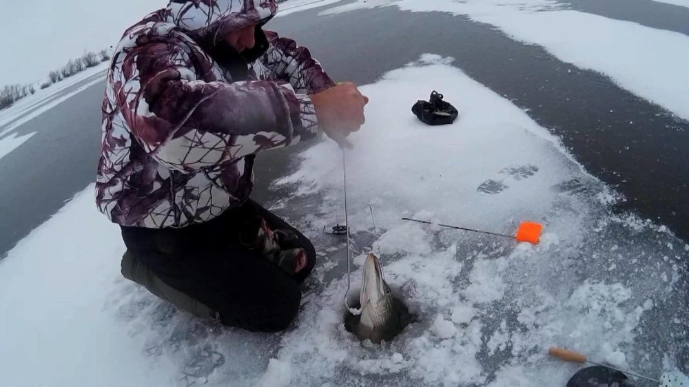 Рыбалка зимой на дриблинг