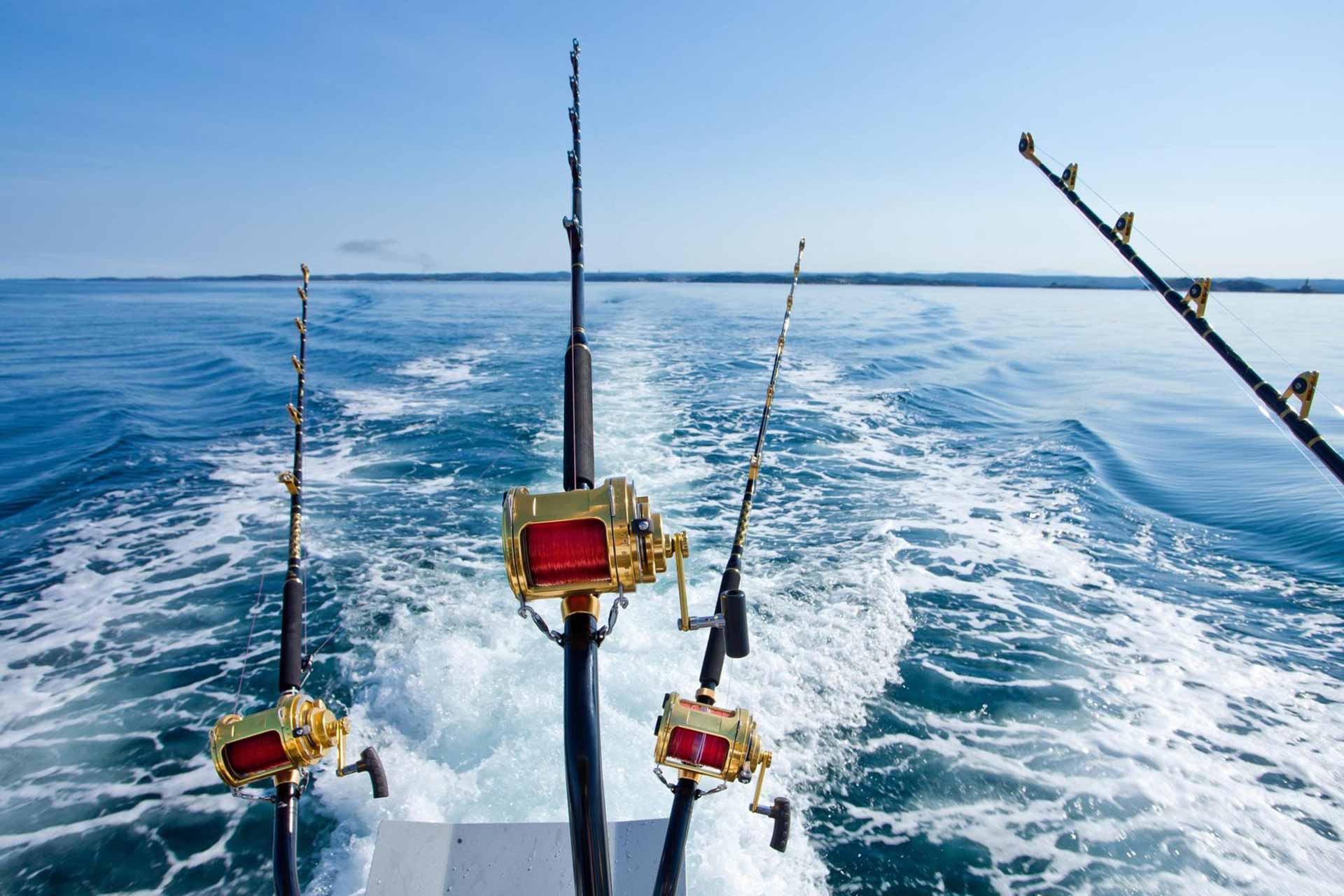 Рыбалка в море на яхте в Сочи: как насладиться приключением и уловом?